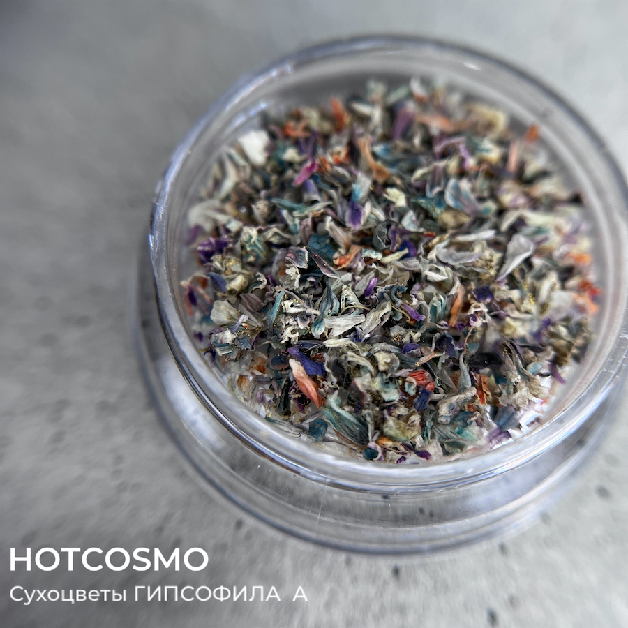 HOTCOSMO Сухоцветы ГИПСОФИЛА  A