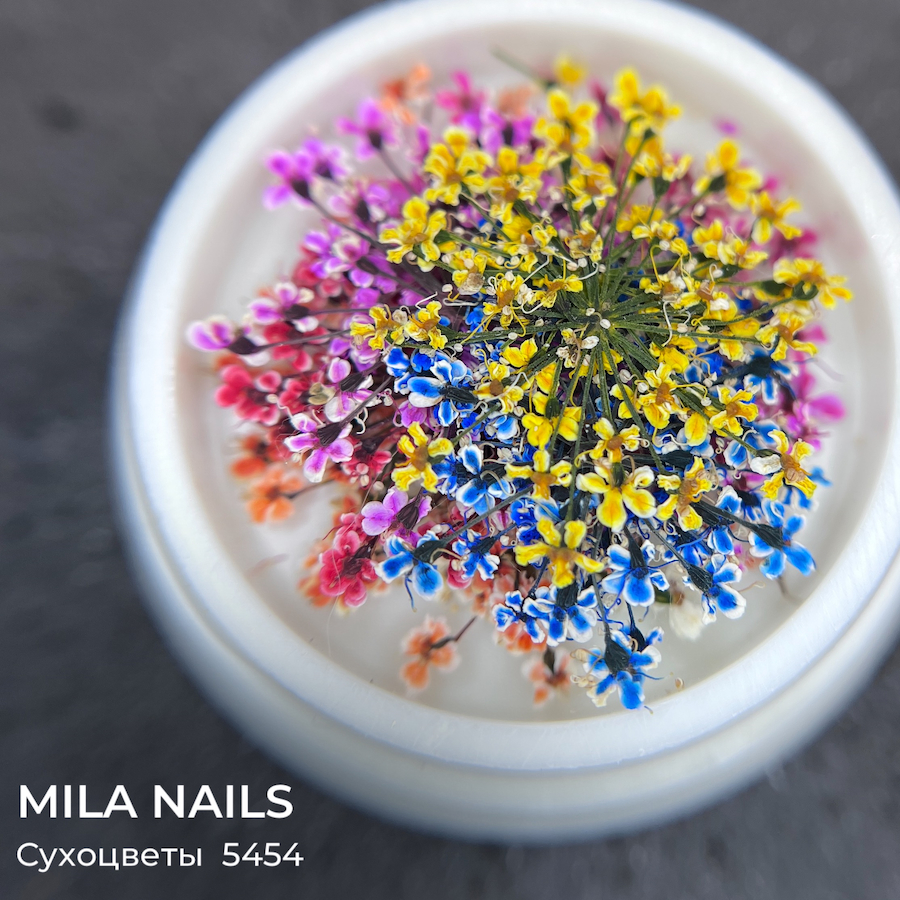 MILA NAILS Сухоцветы МИКС  5454