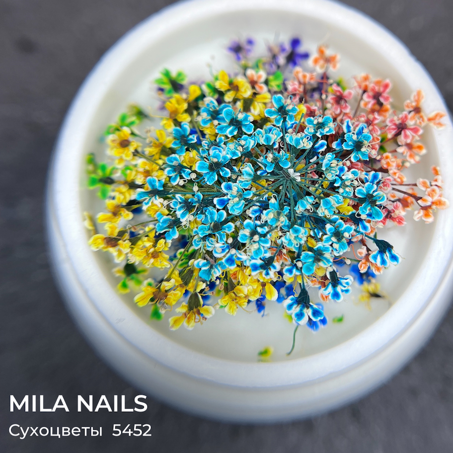 MILA NAILS Сухоцветы МИКС  5452