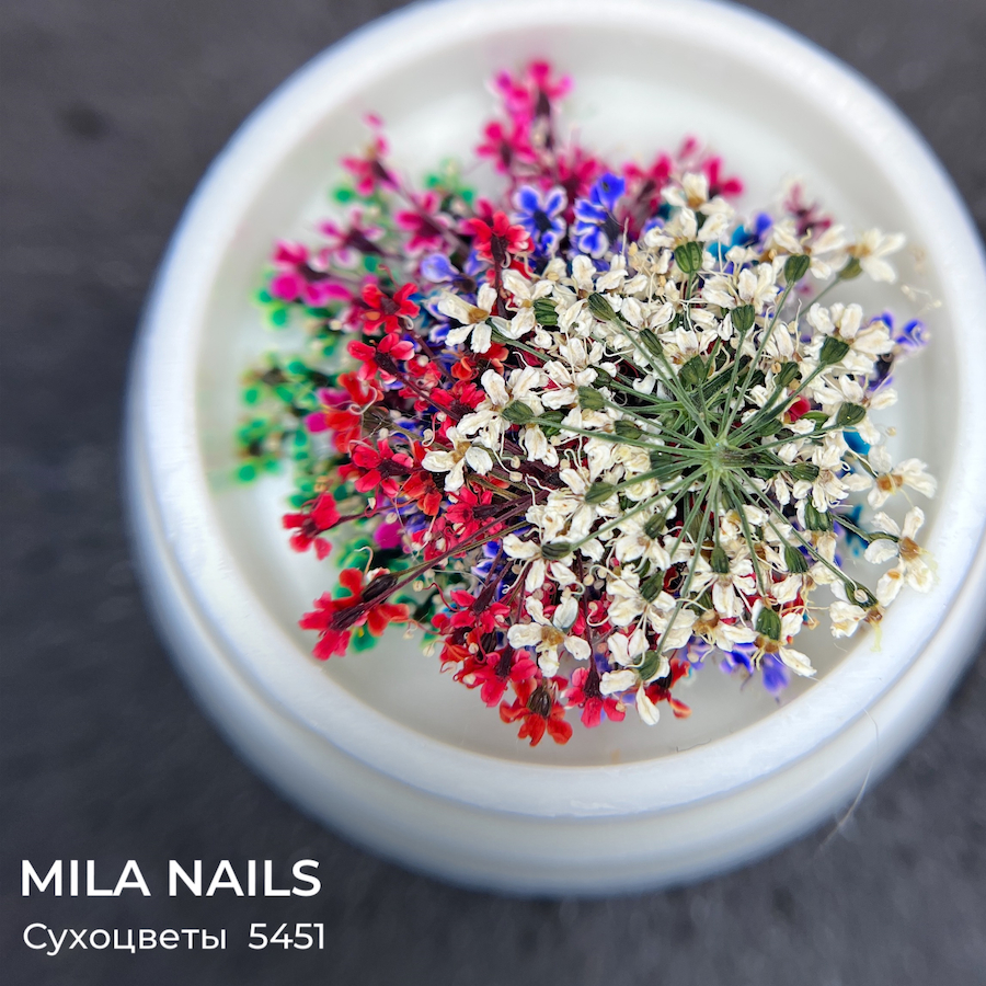 MILA NAILS Сухоцветы МИКС  5451