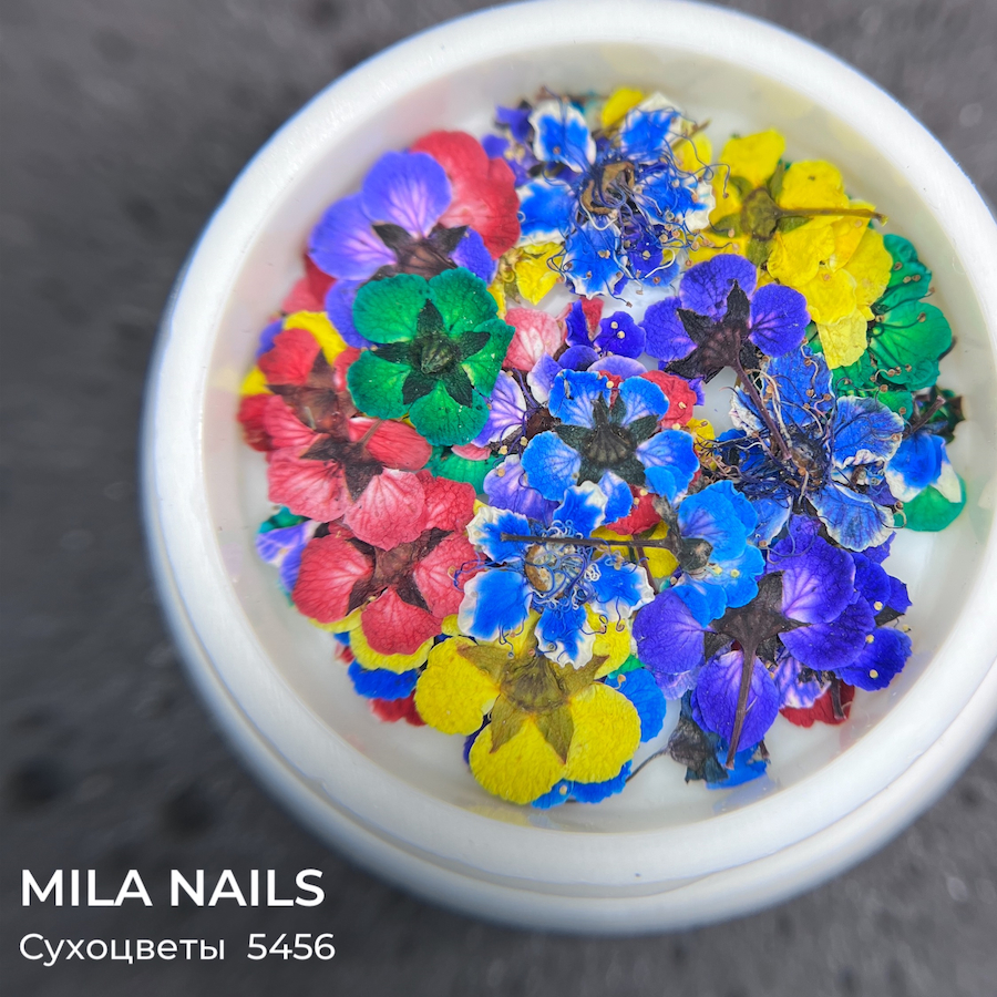 MILA NAILS Сухоцветы МИКС  5456  1