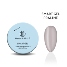 MOONNAILS Гель д/моделирования SMART 30гр  PRALINE