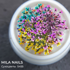 MILA NAILS Сухоцветы МИКС  5455