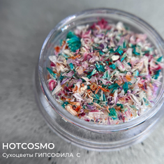 HOTCOSMO Сухоцветы ГИПСОФИЛА  C