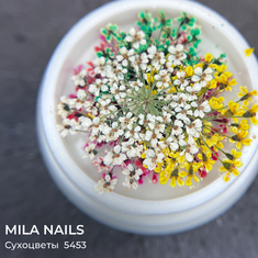 MILA NAILS Сухоцветы МИКС  5453