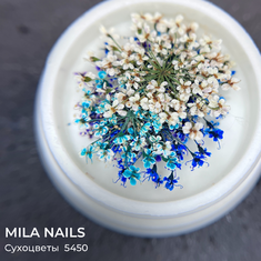 MILA NAILS Сухоцветы МИКС  5450