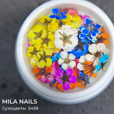 MILA NAILS Сухоцветы МИКС  5459  4