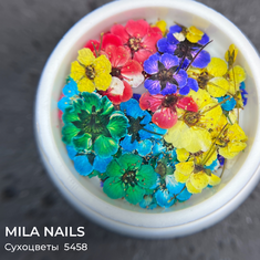 MILA NAILS Сухоцветы МИКС  5458  3