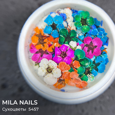 MILA NAILS Сухоцветы МИКС  5457  2