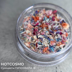 HOTCOSMO Сухоцветы ГИПСОФИЛА  B